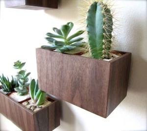 Walnut-wood-wall-planters-can-be-crafted-at-home