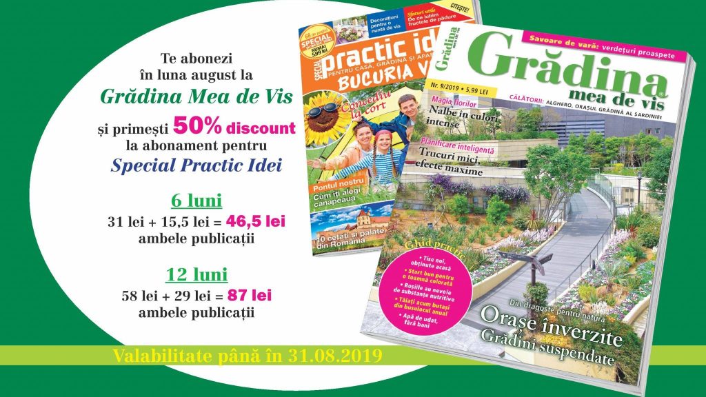 Suveniruri din vacanţă, cu scoici şi muşchi verde