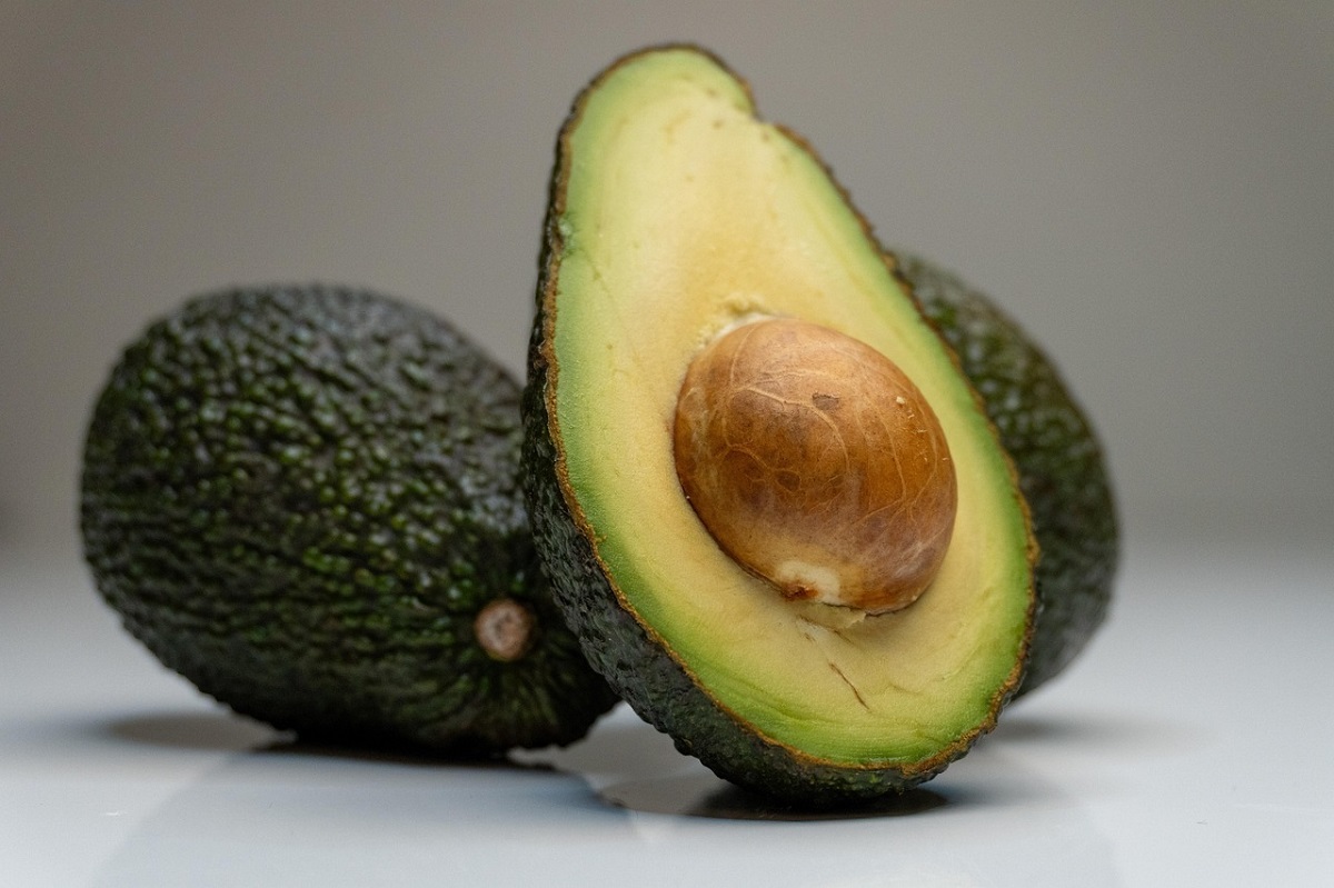 cojile de avocado